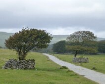 Other Walks at Home