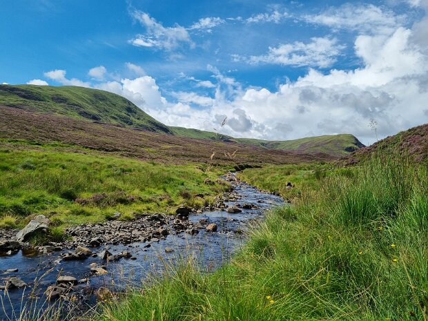 Moffat 2025 thumbnail pic