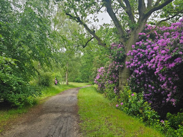 Woodhall Spa thumbnail pic